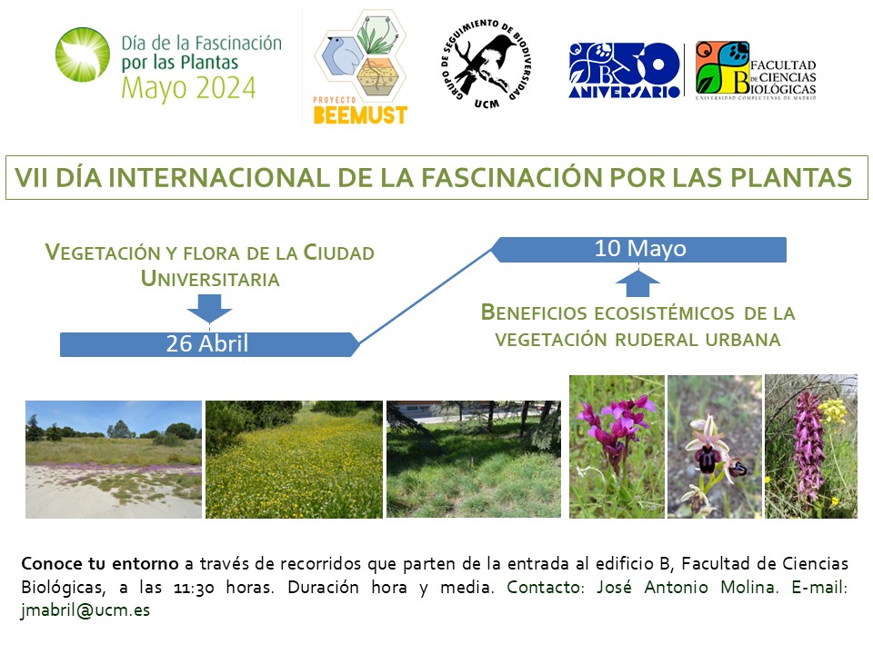 Actividad proyecto BEEMUST: Salidas botánicas por la ciudad universitaria (26 de Abril y 10 de Mayo)